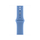 Apple Watch 40mm Wildflower Blue Sport Band, M/L