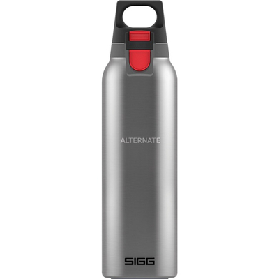Termus SIGG Hot &amp; Cold One Light, 560ml, çelik inoks, ngjyrë argjendi
