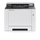 Printer Kyocera ECOSYS PA2100cwx, i bardh