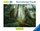 Puzzle Ravensburger Nature Edition In the Forest, 1000 pjesë, për të rritur