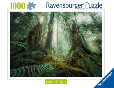 Puzzle Ravensburger Nature Edition In the Forest, 1000 pjesë, për të rritur