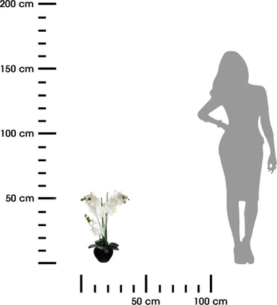 Декоративно цвете орхидеја Atmosphera Orchid, 53 cm, во црна вазна