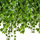 Garlandë artificiale Ivy Gardlov 19735, 25.2 m, jeshile