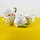 Filxhan porcelani LIMONE HTPT0893, 400ml, motiv limoni, shumëngjyrësh