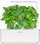 Kapsula bimore Click & Grow Marseille Basil, për kopsht smart, pako me 3 copë, jeshile