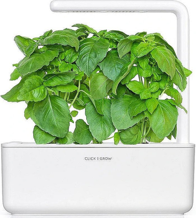 Kapsula bimore Click & Grow Marseille Basil, për kopsht smart, pako me 3 copë, jeshile