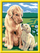 Set pikturimi Ravensburger CreArt Series D Retriever in the Meadow, piktur me numra, mosha 7+, shumëngjyrësh