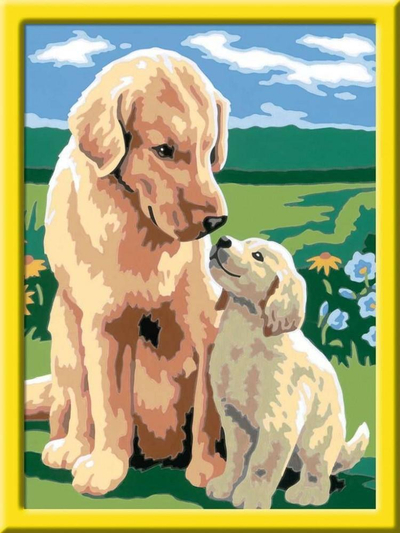 Set pikturimi Ravensburger CreArt Series D Retriever in the Meadow, piktur me numra, mosha 7+, shumëngjyrësh