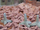 Set pengesash antitank Juweela Hedgehog, 3 copë, për diorama