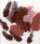 Set puplash zbukuruese Feathers Marabou dhe Guinea Fowl, 18 copë, gri edhe blu