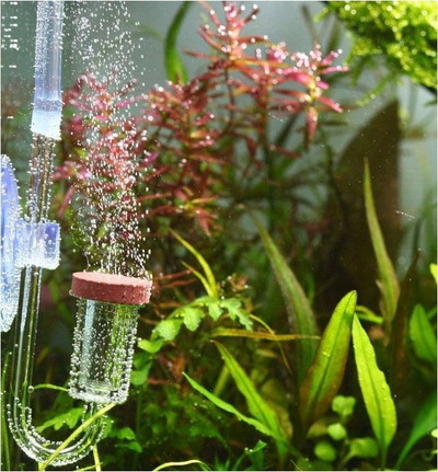 Difuzor CO2 për akuarium Chihiros Nano Large, për mbi 200L, qeramik mikroporoze, transparent