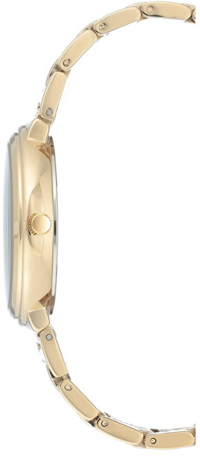 Orë dore Anne Klein AK/3168CHGB