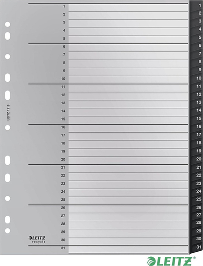 Ndarës dosjesh Leitz Recycle Index PP Extra Wide, A4, 1 31, shumëngjyrësh