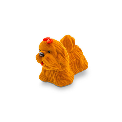 Kuti për dhuratë Beneto Dog KDET5
