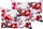 Set jastëkësh dekorativ LANROSSO Floral, 40 x 60 cm, motiv lulesh, rozë