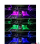 Drite Led Per Brendesi Te Vetures