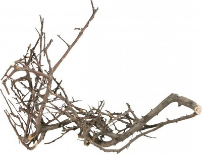 Dекор за аквариум Terra Natura Japanese Root Black S, природен корен, 10–15 cm, црн