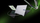 Laptop Gigabyte AERO X16 1WH93EEC64AH, 16", AMD Ryzen AI 7 350, 32GB RAM, 1TB SSD, NVIDIA GeForce RTX 5070, 165Hz, Windows 11, i zi/hirtë
