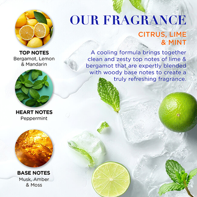 Set për meshkuj Baylis & Harding Citrus Lime & Mint, xhel dushi 300 ml + shmapo për flokë 200 ml