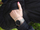 Orë dore Esprit ES1L034M0075