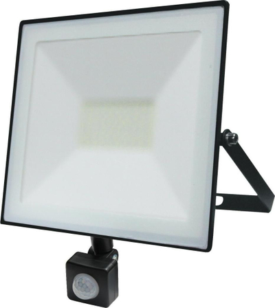 Reflektor LED Volteno, 50 W, 2750 lm, 6400 K, IP65, i zi