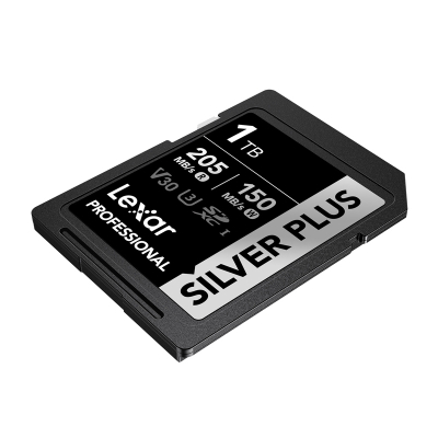 Kartë memorie Lexar Professional SDXC Silver Plus, 1TB, UHS-I, e zezë