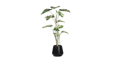 Lule artificiale Verde Decor Monstera Variegate, 150cm