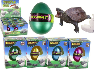 Lodër vezë magjike me breshkë LEAN Toys, 6cm, për fëmijë 3+