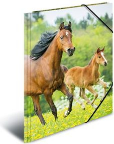 Dosje dokumentesh Herma Folder 7140, A4