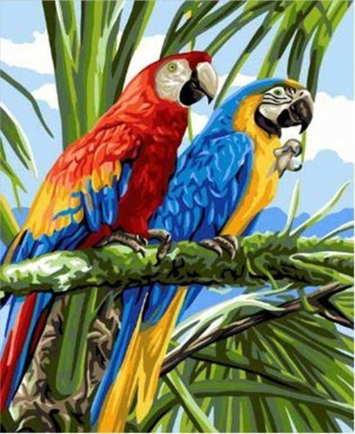 Mozaik diamant Norimpex Parrots 6785, set kreativ 5D, shumëngjyrësh