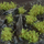 Shkurre dekorative vetëngjitëse Dark Green Shrubs New, për diorama, të gjelbra të errëta