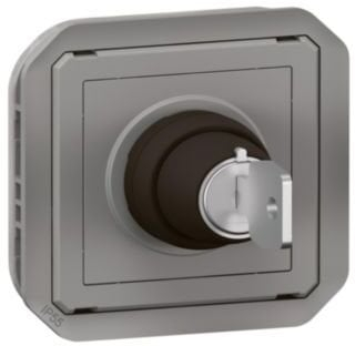 Ndërprerës industrial Legrand New Plexo 069534L, 2 pozicione, 10AX 250V, gri