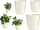 Set vazo lulesh Ibergarden, 3 copa qeramike konike, 11 14 17cm, të bardha