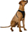 Shtrënguese për qen Strong Dog Harness L, me shirit reflektues, 54–71 cm, e zezë