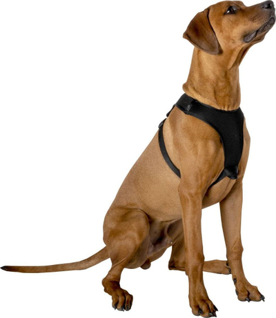 Shtrënguese për qen Strong Dog Harness L, me shirit reflektues, 54–71 cm, e zezë