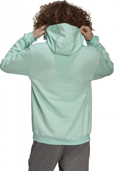 Duks për meshkuj Adidas Entrada 22 (HC5081), M, mente