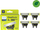 Tehe zëvendsuese Philips OneBlade 360, set me 4 copa, lime green charcoal grey