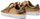 Atlete për femra Puma, 85169-936091