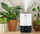 Lagështues ajri Levoit Dual200S Pro Smart, 3L, me ekran LED, i bardhë e i zi