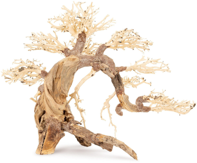 Dekor akuariumi TerraNatura Sinking Bonsai Tree Nr. 13, 70x50 cm, kafe natyrale