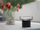 Модул мерач на дожд Netatmo Rain Gauge, за метеоролошка станица Netatmo, црн