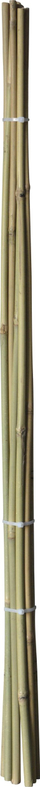 Shkopinj bambuje Home>it, Ø10 mm, 60 cm, set 4 copë, natyral