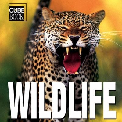 Wildlife Mini Cube Book - Valeria M De Fabianis
