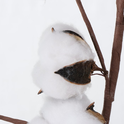 Degë dekorative BOLTZE Cotton, pambuk artificial, e bardhë