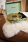 Crosley Gramofon+Bluetooth Cruiser Cruiser Plus Mint Cr8005F-Mt4
