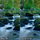 Filter fotografik B+W Basic Soft Pro, 67mm, efekt mjegull i butë, transparent