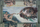 Puzzle Ravensburger, 5000 copa, Michelangelo The Creation of Adam, shumëngjyrëshe