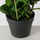 Bimë artificiale Boltze Home Zamioculcas, 76cm, në vazo, jeshile