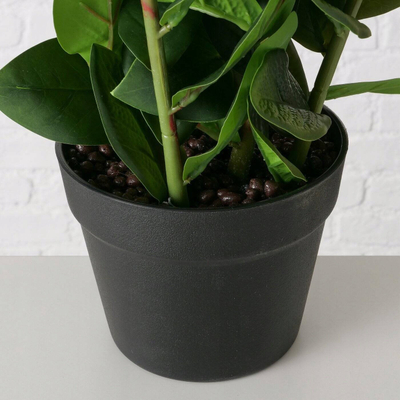 Bimë artificiale Boltze Home Zamioculcas, 76cm, në vazo, jeshile