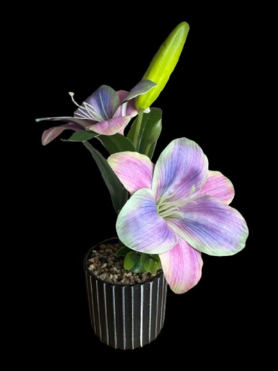lule artificiale , ngjyra te ndryshme . UNIMIKS